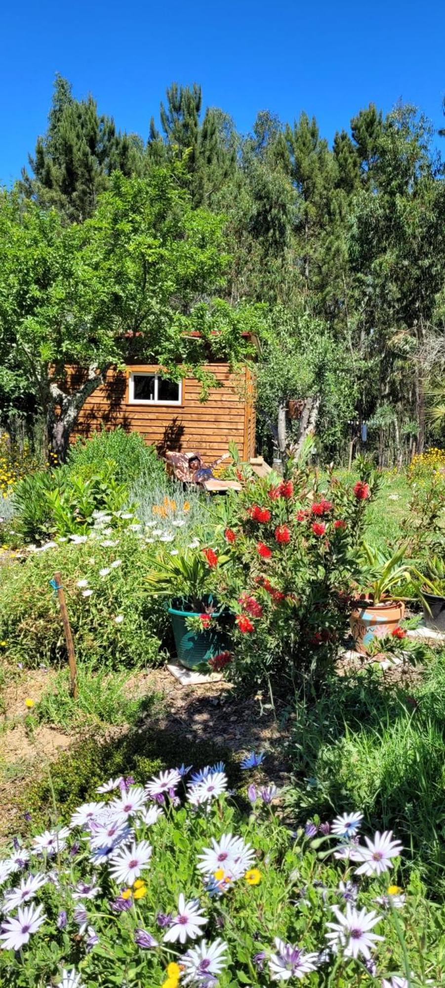 Casa Carini Holiday home